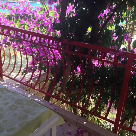 Ana Apartman *