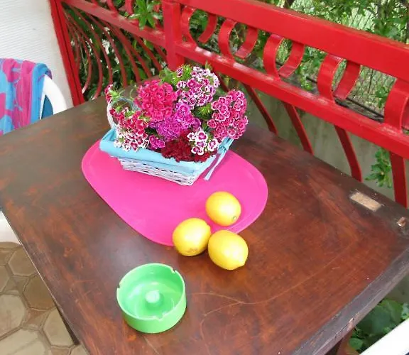 아파트 Ana 트로기르