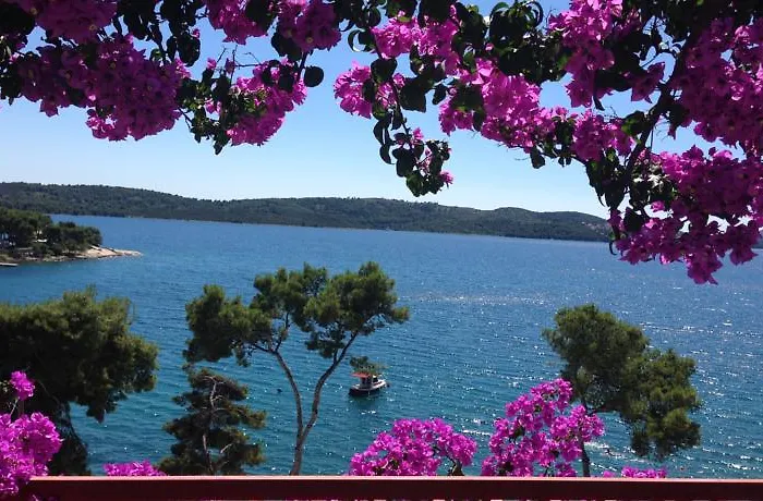 Ana 아파트 트로기르